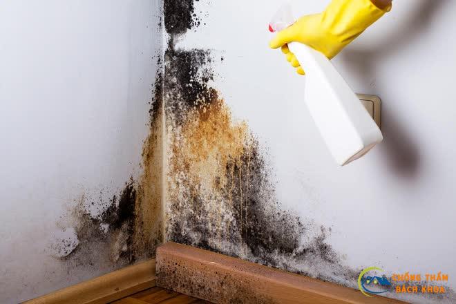 Các phương pháp xử lý tường nhà ẩm mốc hiệu quả