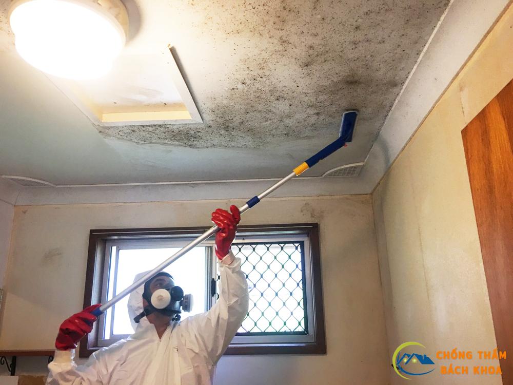Các phương pháp xử lý tường nhà ẩm mốc hiệu quả