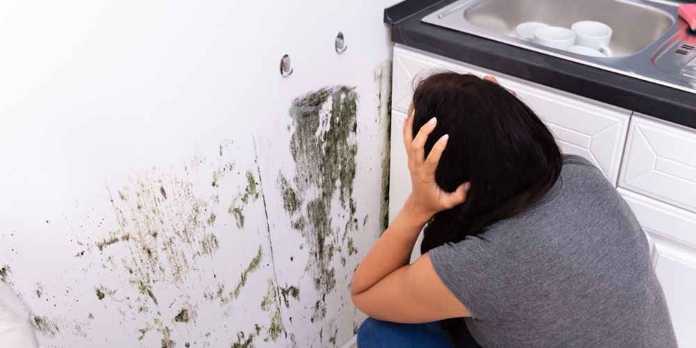 Chống ẩm mốc 1 Nguyên nhân gây ẩm mốc trong nhà
