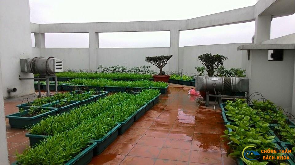 Quy trình chống thấm sân thượng tại chongthamhanoi365.com