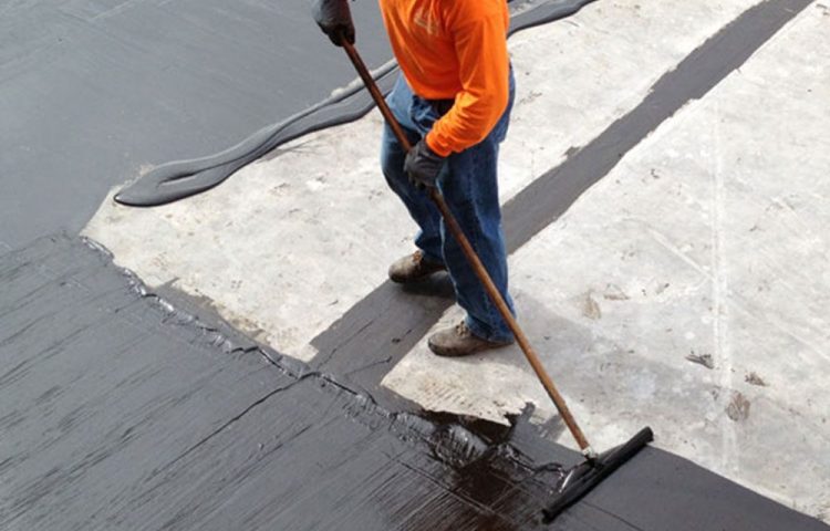 Phân tích chi tiết 2 giải pháp so sánh